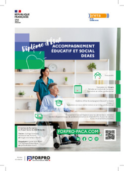 Flyer Diplôme d'Etat DEAES
